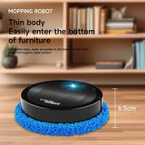 Automatic Intelligent Mute Sweeping Robot