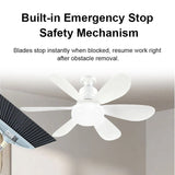 Flower Fan Light