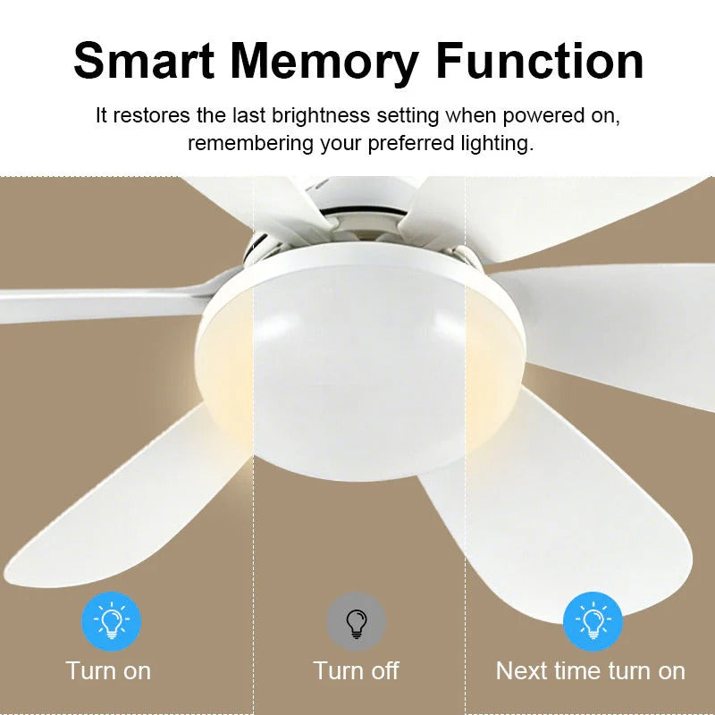 Flower Fan Light