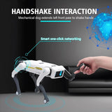 Smart Dog Multifunctional Toy